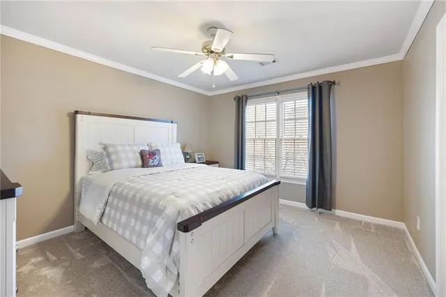 a view of a yard with plants and large trees