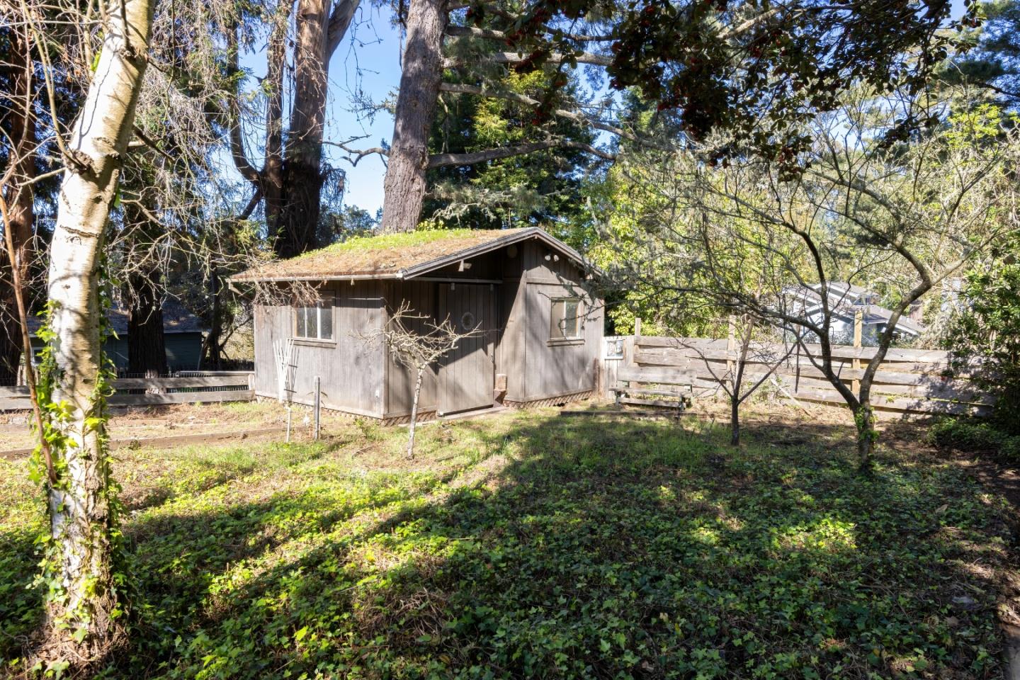 621 Townsend Drive Aptos, CA 95003 - Photo 35 of 43 a view of a yard with plants and tree
