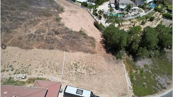 a view of a yard with plants