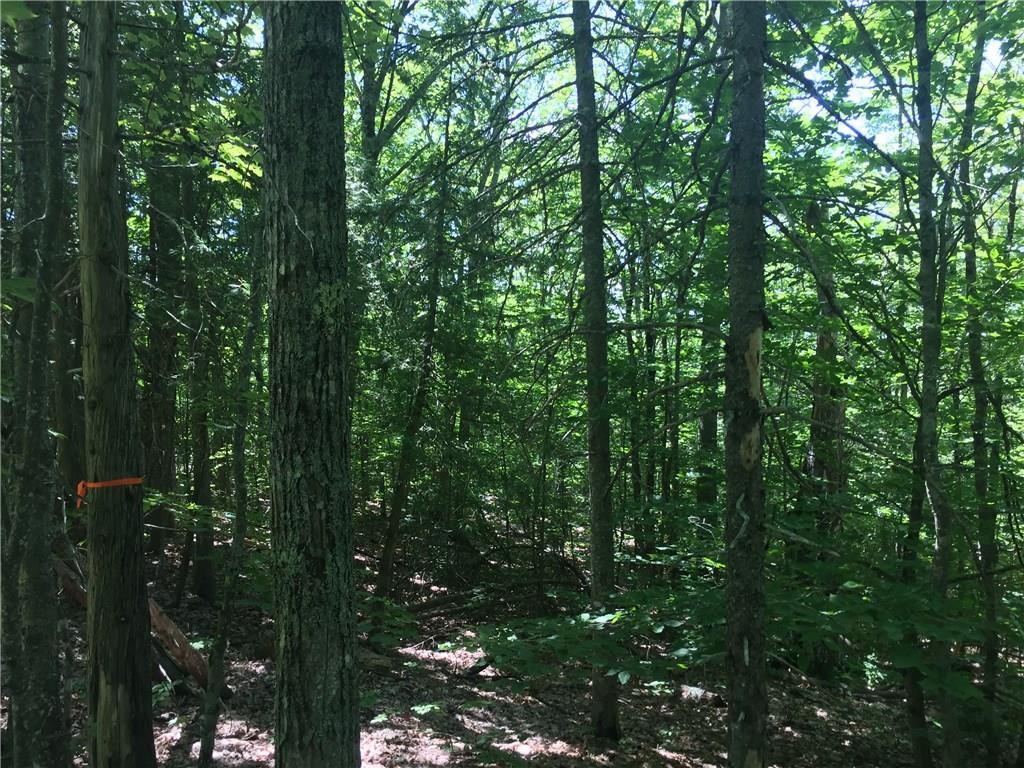 0 Crag Road Dedham, ME 04429 - Photo 1 of 5 Photo