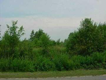 72 Nd Street Reed City, MI 49677 - Photo 1 of 1 Primary Photo