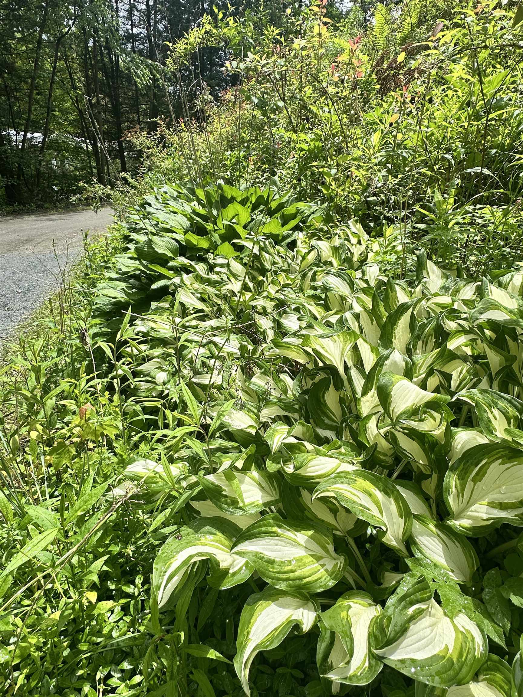 4 Reservoir Road Brattleboro, VT 05301 - Photo 23 of 23