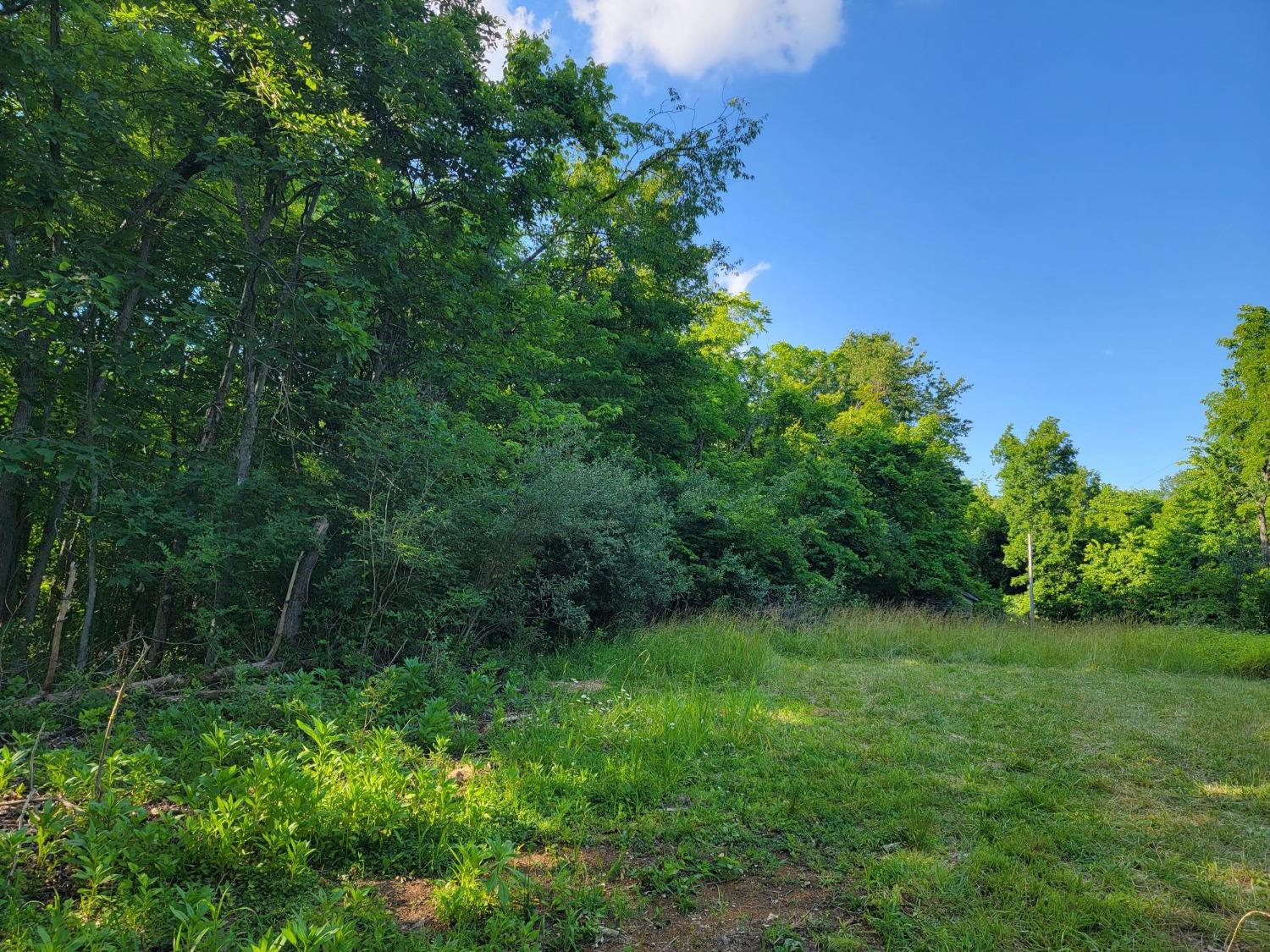 11510 Longbranch Road Moores Hill, IN 47032 - Photo 8 of 11 Gallery Image 8