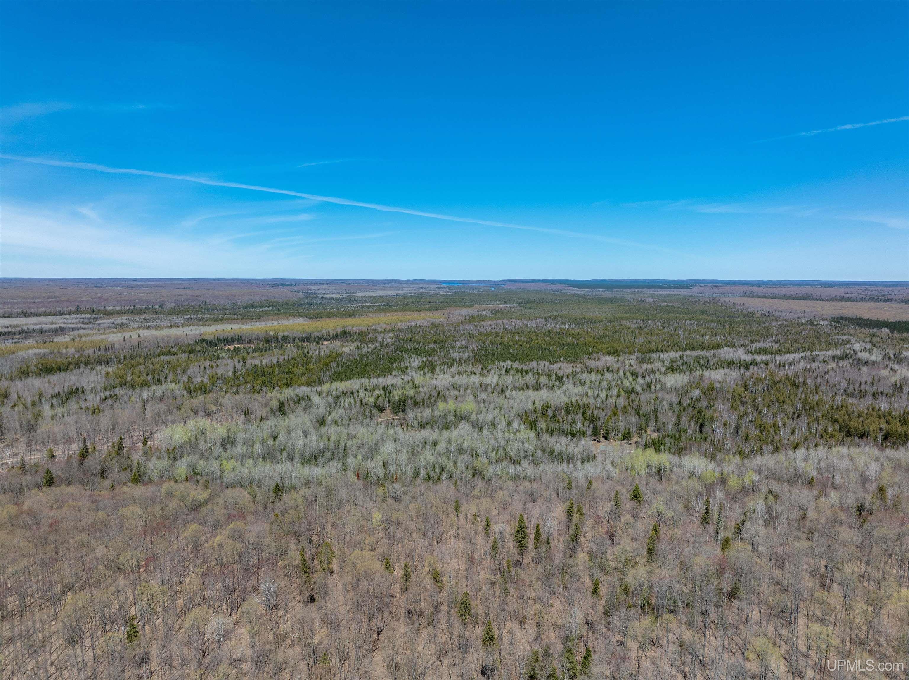 E4291 Walleye Road Chatham, MI 49816 - Photo 11 of 52