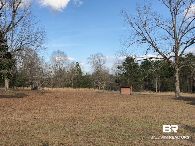 927 Green Road Castleberry, AL 36432 - Photo 4 of 24