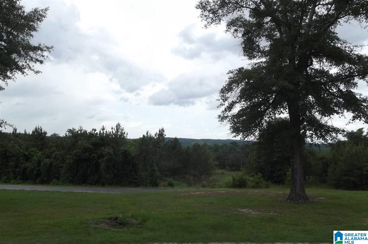 401 Crowe Road Centreville, AL 35042 - Photo 2 of 6