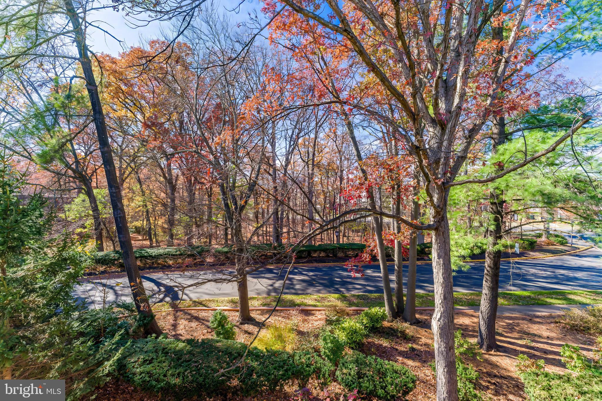 1623 Parkcrest Circle, Unit 9B/300 Reston, VA 20190 - Photo 31 of 32 a view of swimming pool with a patio