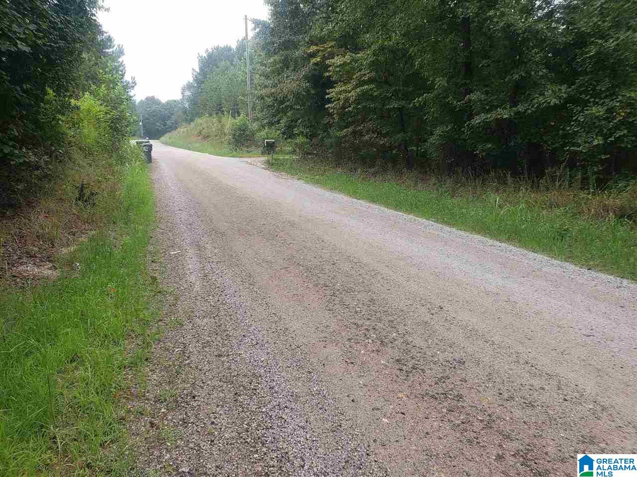 2229 County Road 82 Fruithurst, AL 36262 - Photo 3 of 12