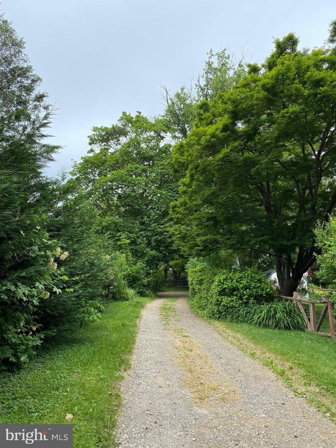 340 State Road Media, PA 19063 - Photo 2 of 45 The driveway feels like you're entering a garden