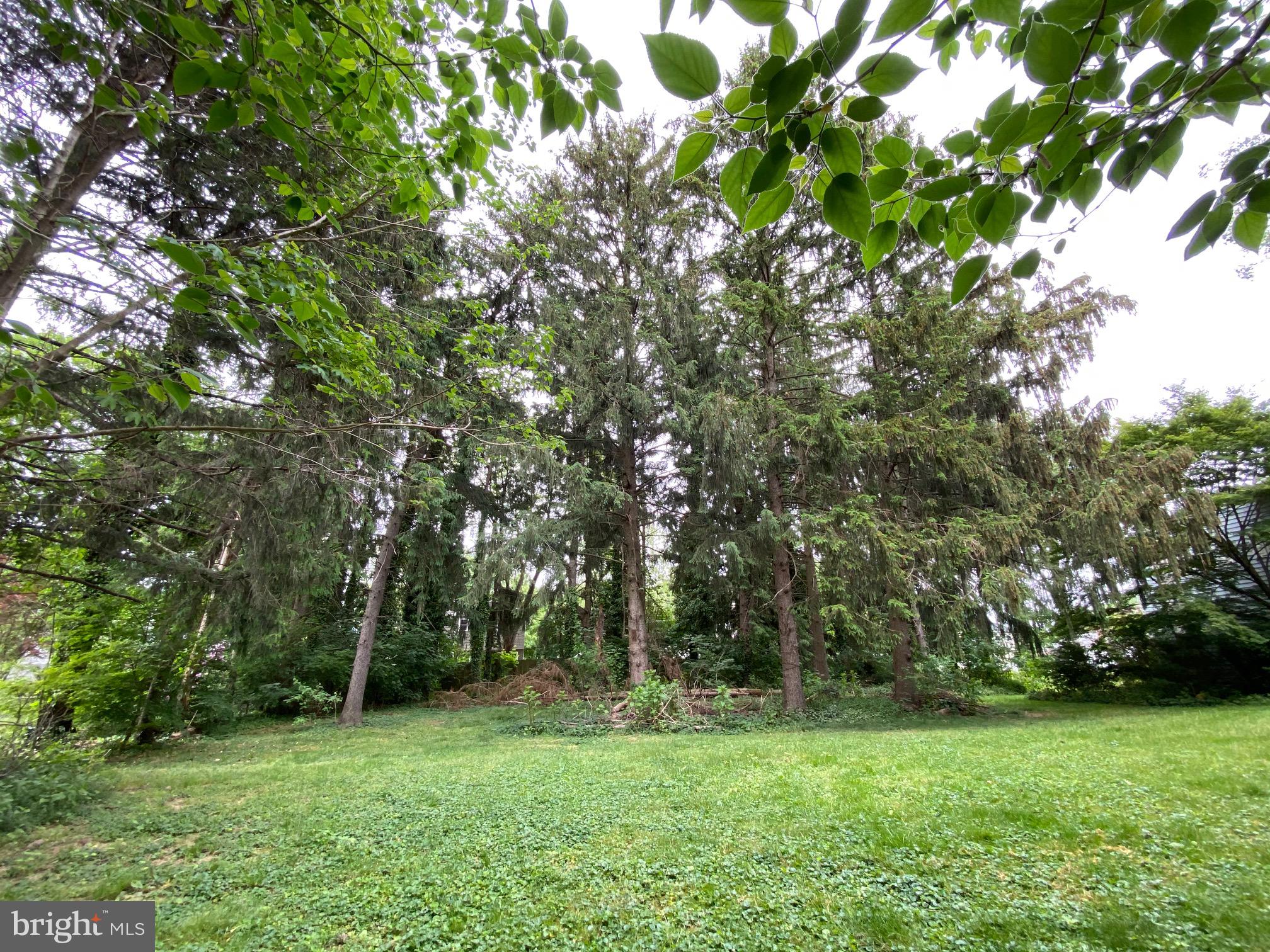 340 State Road Media, PA 19063 - Photo 14 of 45 ...you see a few trees that never got sold!