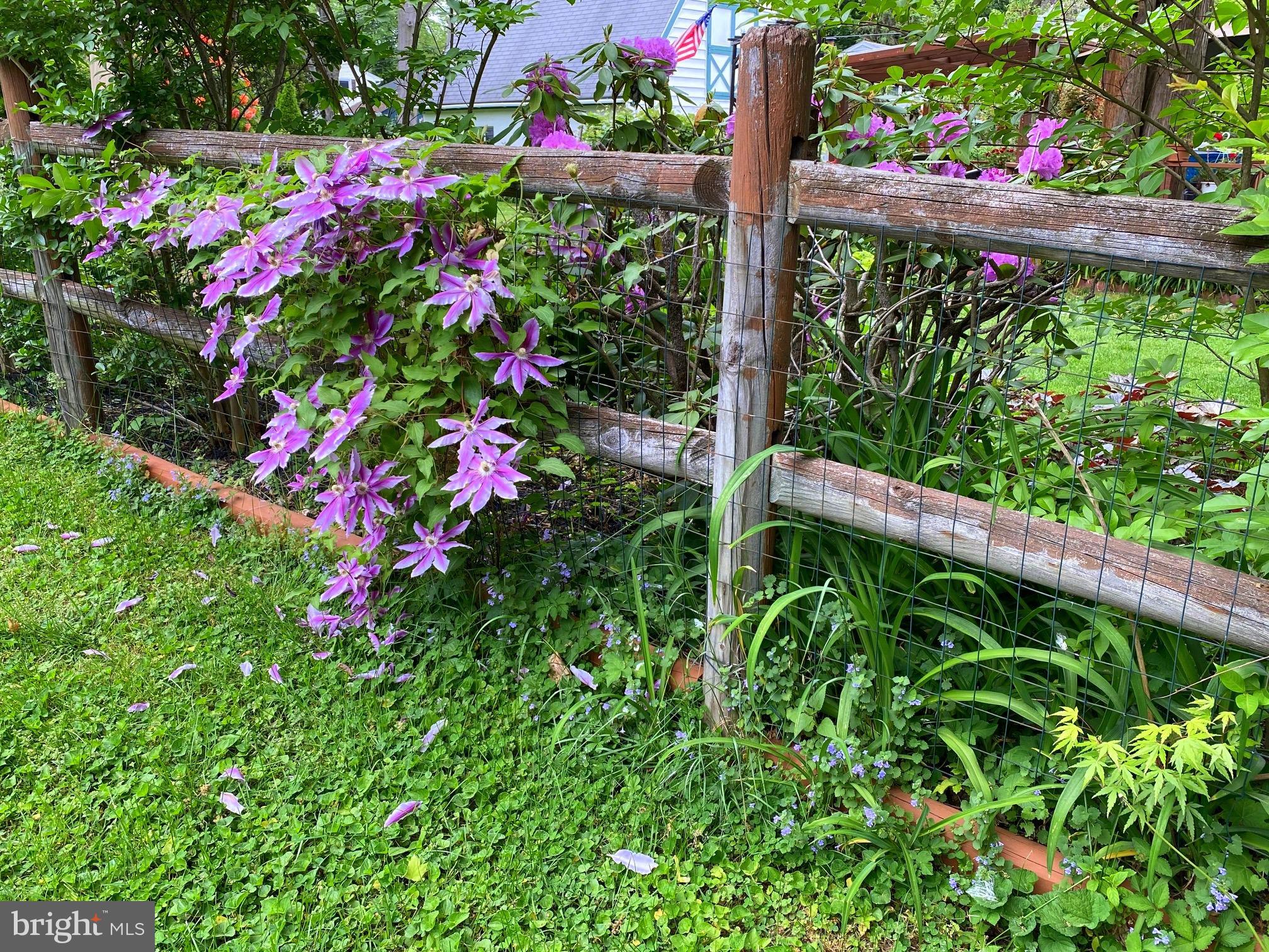 340 State Road Media, PA 19063 - Photo 43 of 45 Back outside and down the drive towards the street