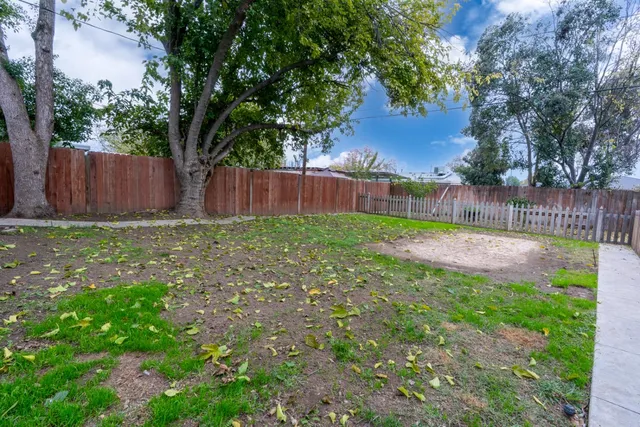 a view of a backyard with a tree and wooden fence