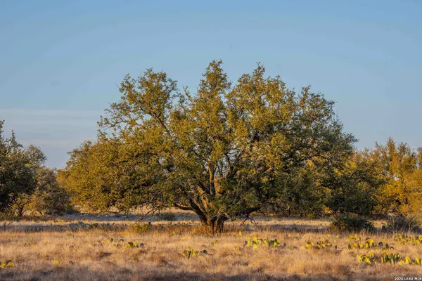 $22,509,030 | Tbd Treadwell Lane, Fort McKavett, TX 76859