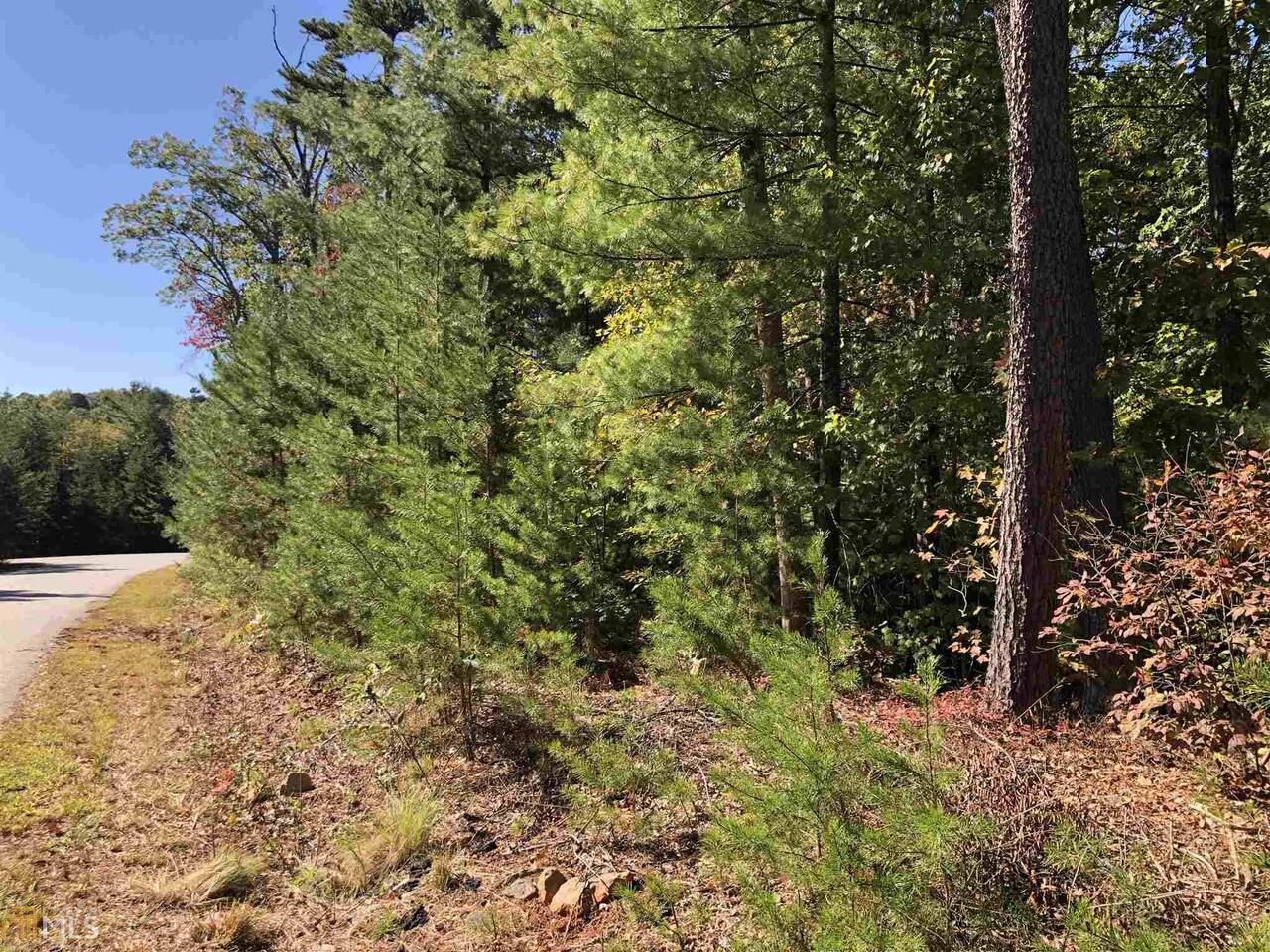 129 Wild Pansy Ridge Jasper, GA 30143 - Photo 1 of 1 Gallery Image 1