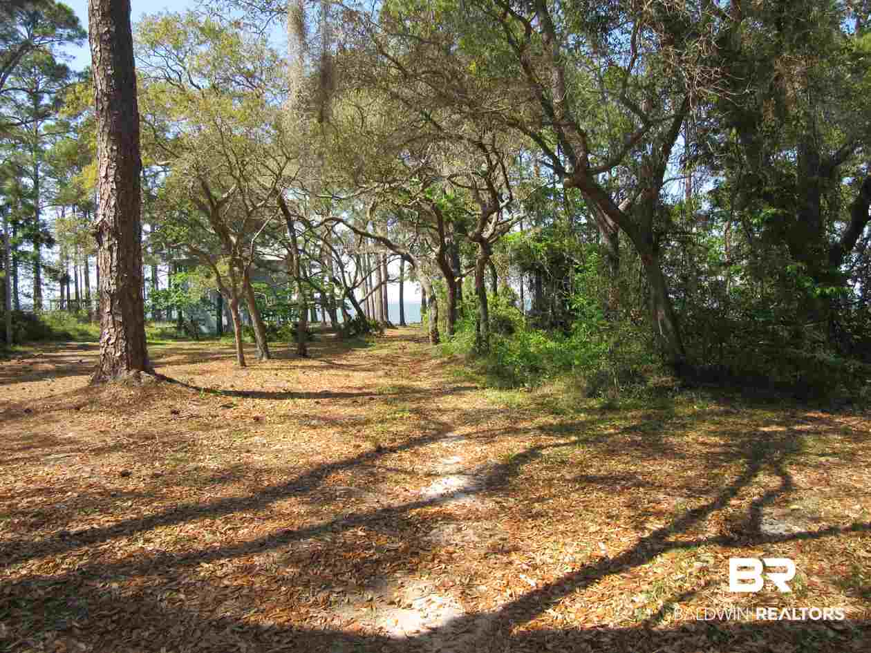 Strong Road Gulf Shores, AL 36542 - Photo 10 of 21