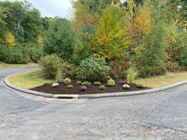 a view of a wooden floor