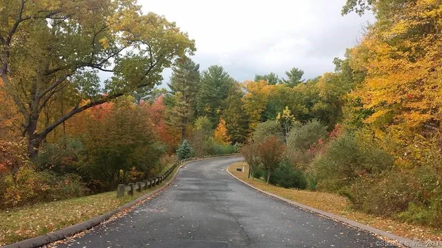 a view of a pathway with a yard