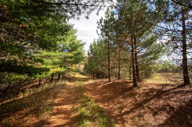 $650,000 | E516 Rustad Road, Harrison, WI 54945