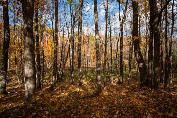 $625,000 | E516 Rustad Road, Harrison, WI 54945
