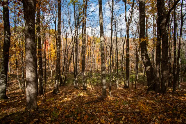 $650,000 | E516 Rustad Road, Harrison, WI 54945