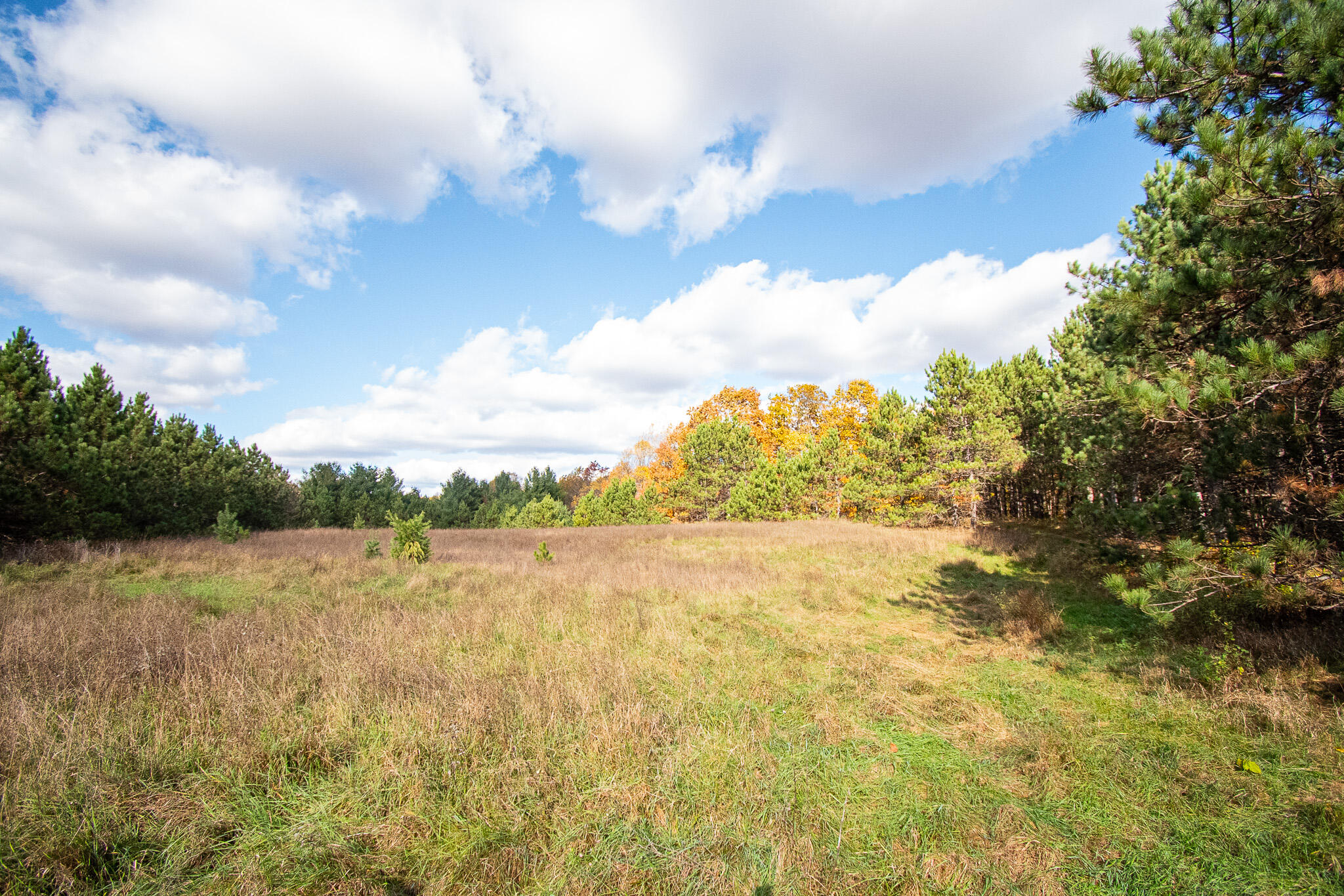 E516 Rustad Road Harrison, WI 54945 - Photo 15 of 52 Open field area