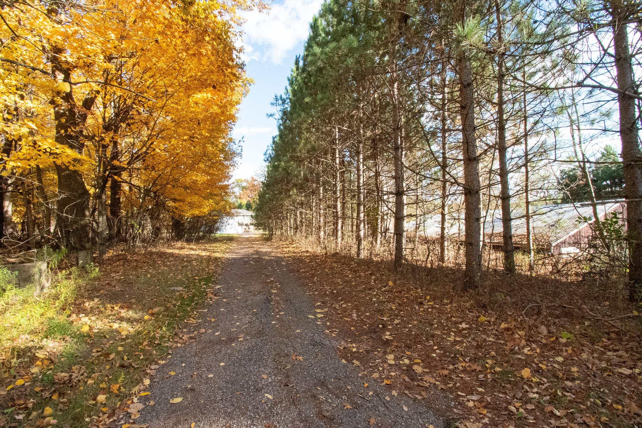 E516 Rustad Road Harrison, WI 54945 - Photo 39 of 52 Driveway entrance