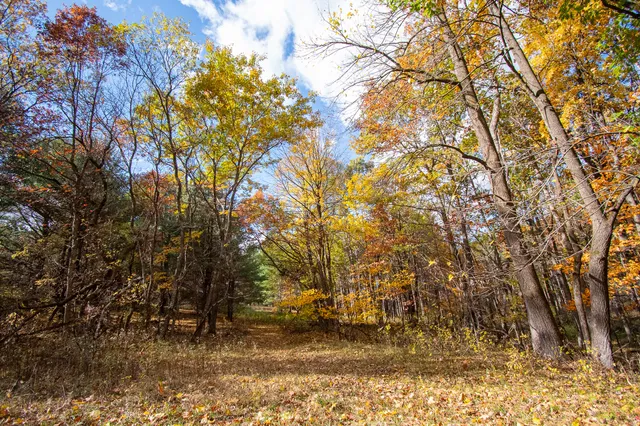 $650,000 | E516 Rustad Road, Harrison, WI 54945