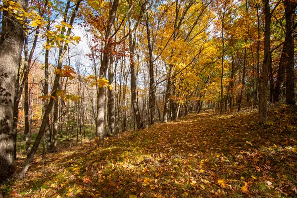 $625,000 | E516 Rustad Road, Harrison, WI 54945
