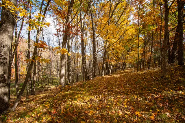 $650,000 | E516 Rustad Road, Harrison, WI 54945