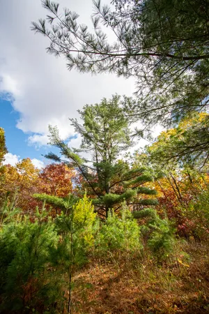 $625,000 | E516 Rustad Road, Harrison, WI 54945