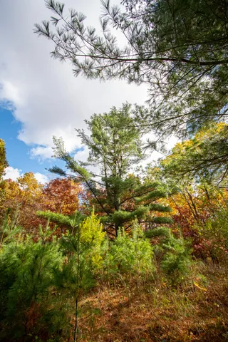 $650,000 | E516 Rustad Road, Harrison, WI 54945