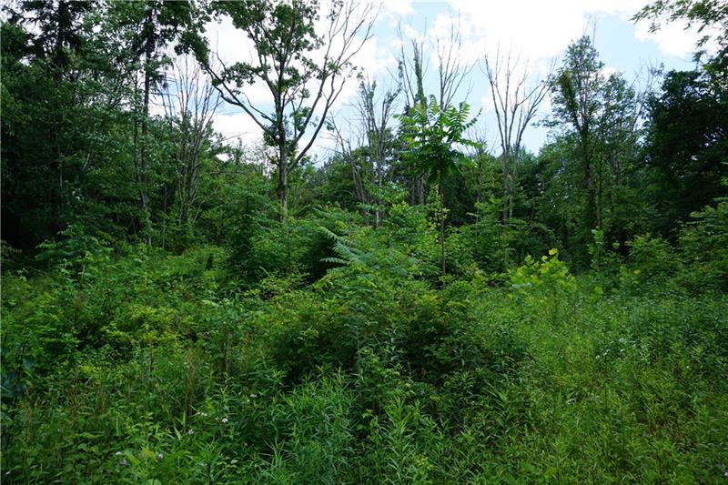 Lot State Ruffs Dale Ruffs Dale, PA 15679 - Photo 6 of 8