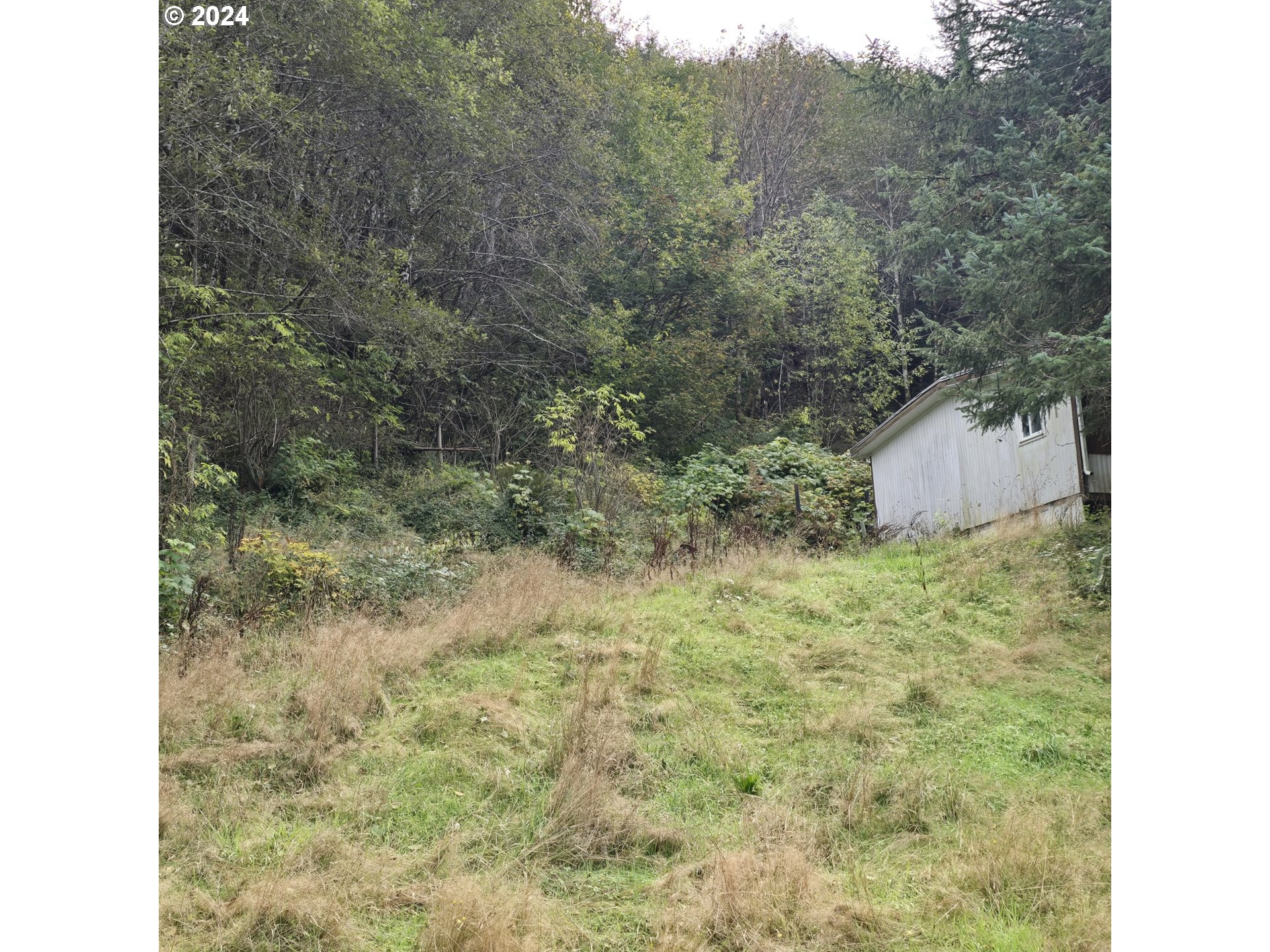 80215 Hamlet Road Seaside, OR 97138 - Photo 4 of 12 Gallery Image 4