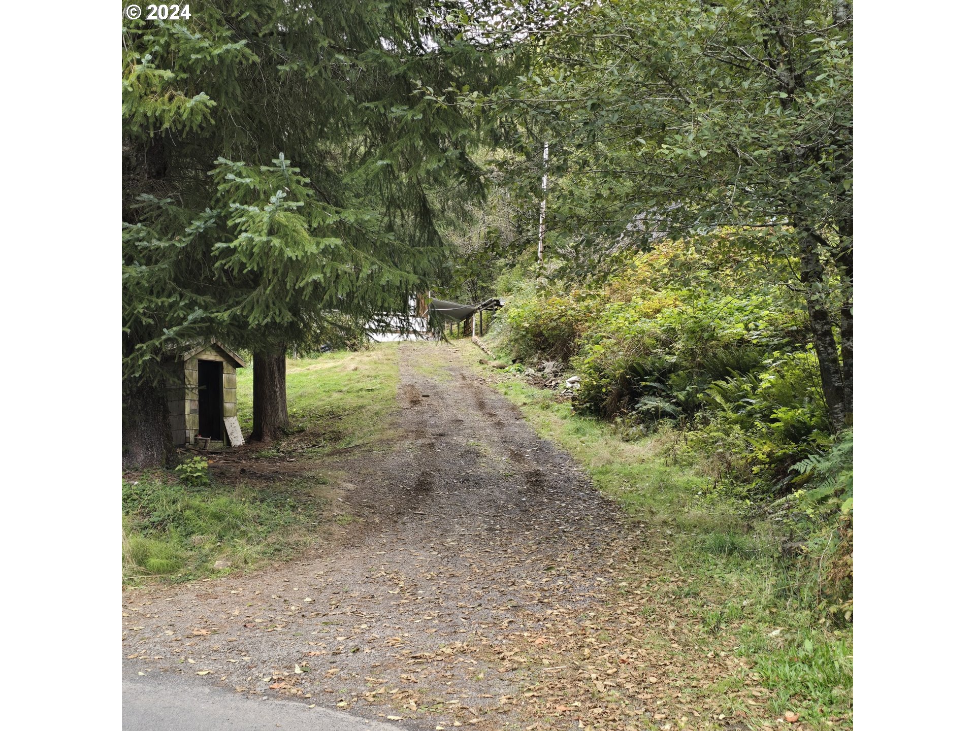 80215 Hamlet Road Seaside, OR 97138 - Photo 7 of 12 Gallery Image 7