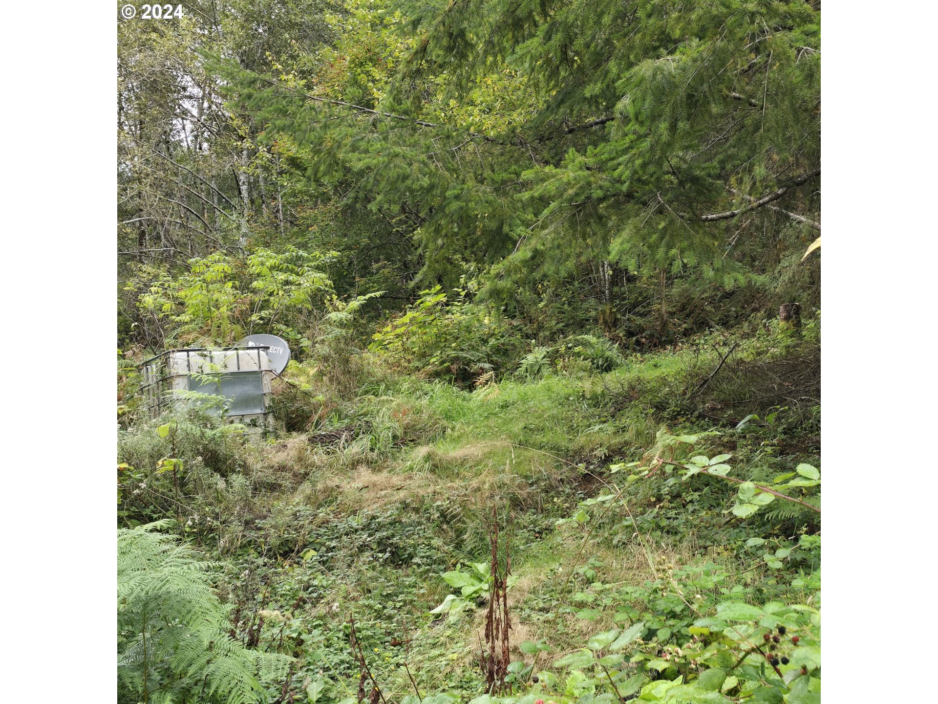 80215 Hamlet Road Seaside, OR 97138 - Photo 10 of 12 Gallery Image 10