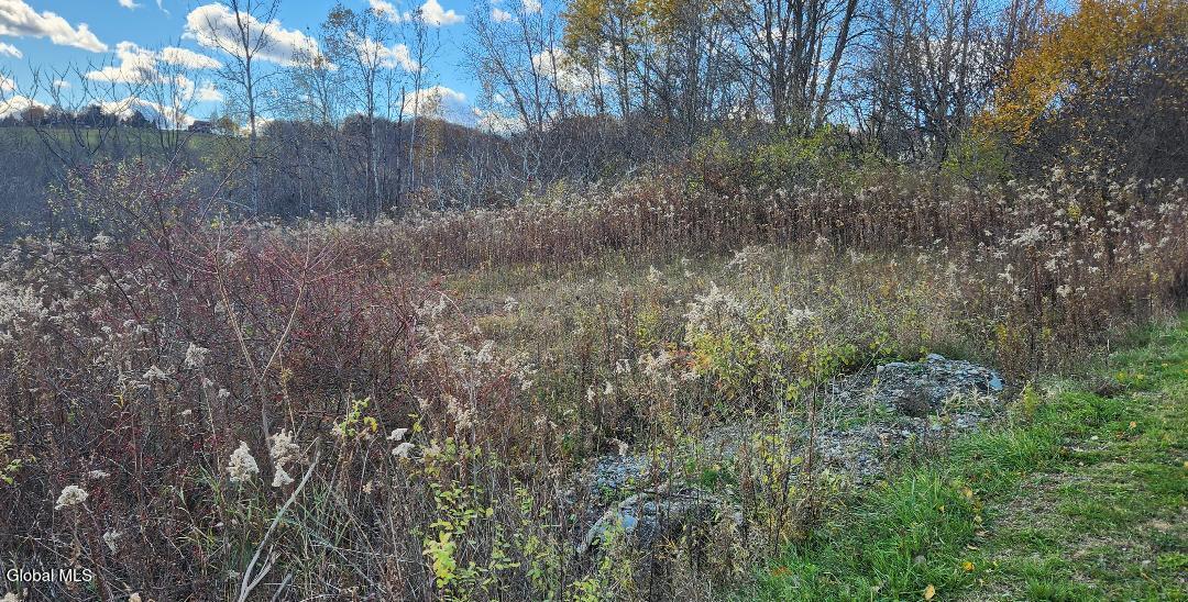 L46 Crystal View Way Granville, NY 12832 - Photo 2 of 5 L46