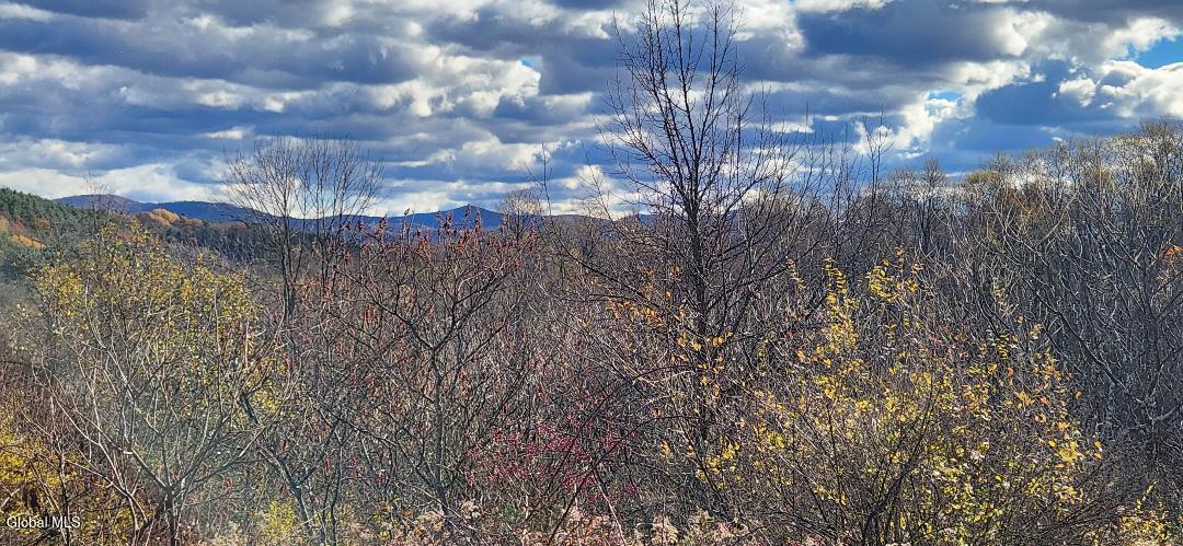 L46 Crystal View Way Granville, NY 12832 - Photo 3 of 5 L46 1