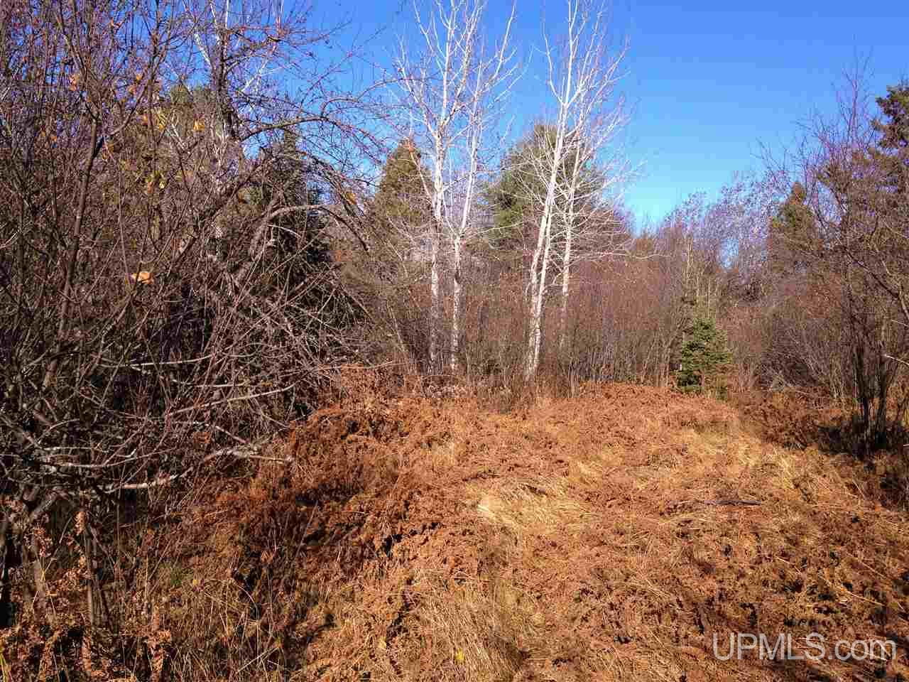 Tbd Hongisto Road Chassell, MI 49916 - Photo 14 of 16 Gallery Image 14