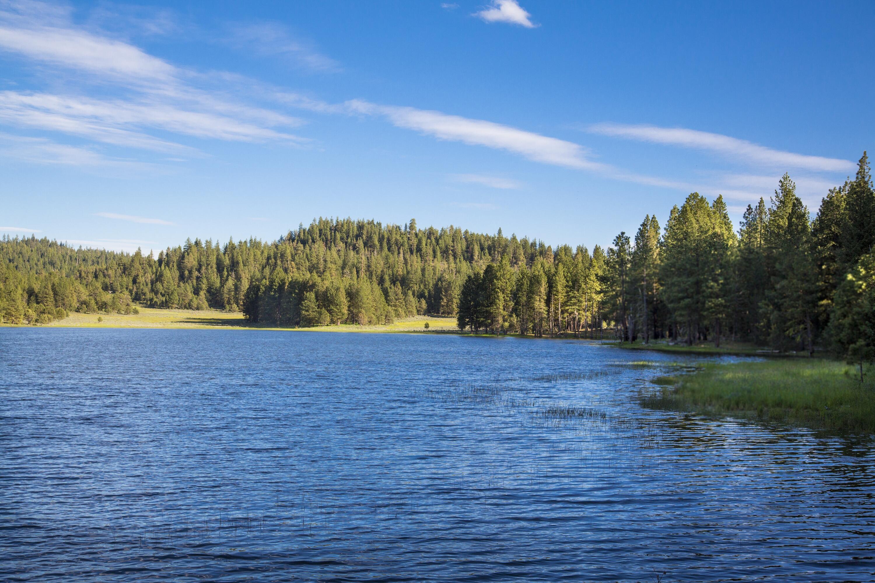 0 Fishhole Creek Road Bly, OR 97622 - Photo 36 of 38 lake surrounded by forest oregon aspen r