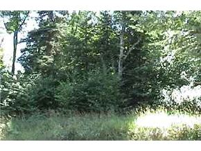 0 Moose Pond Road Pittsburg, NH 03592 - Photo 2 of 2