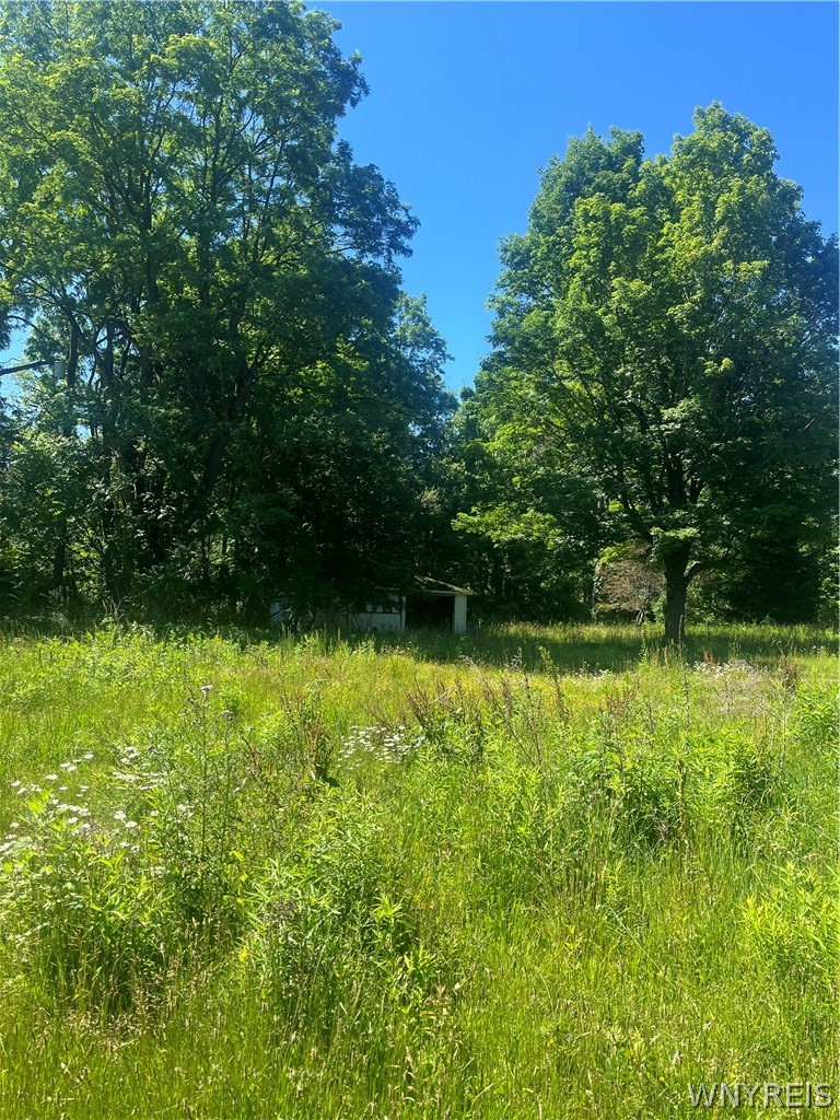 4880 Ransom Road Clarence, NY 14031 - Photo 11 of 42 Gallery Image 11