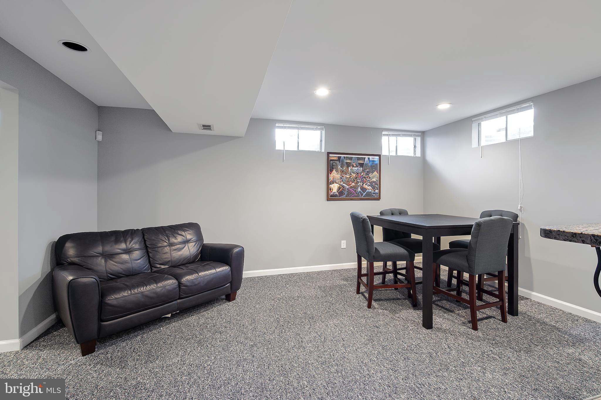 310 Opera Court Silver Spring, MD 20901 - Photo 34 of 48 LOWER LEVEL GAME AREA