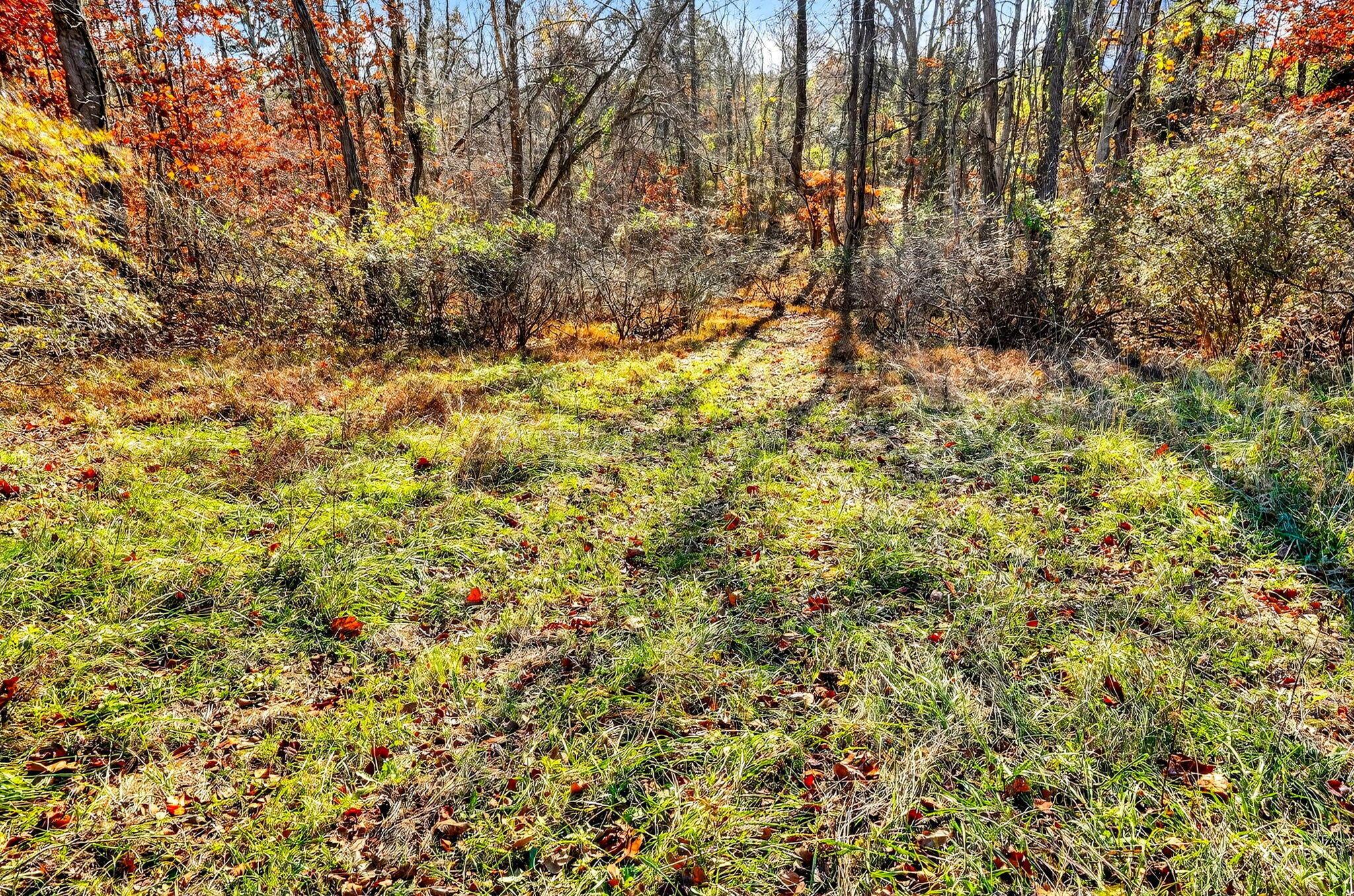 0 Cherry Ridge Road Thurman, OH 45685 - Photo 25 of 29 0 Cherry Ridge Road 34