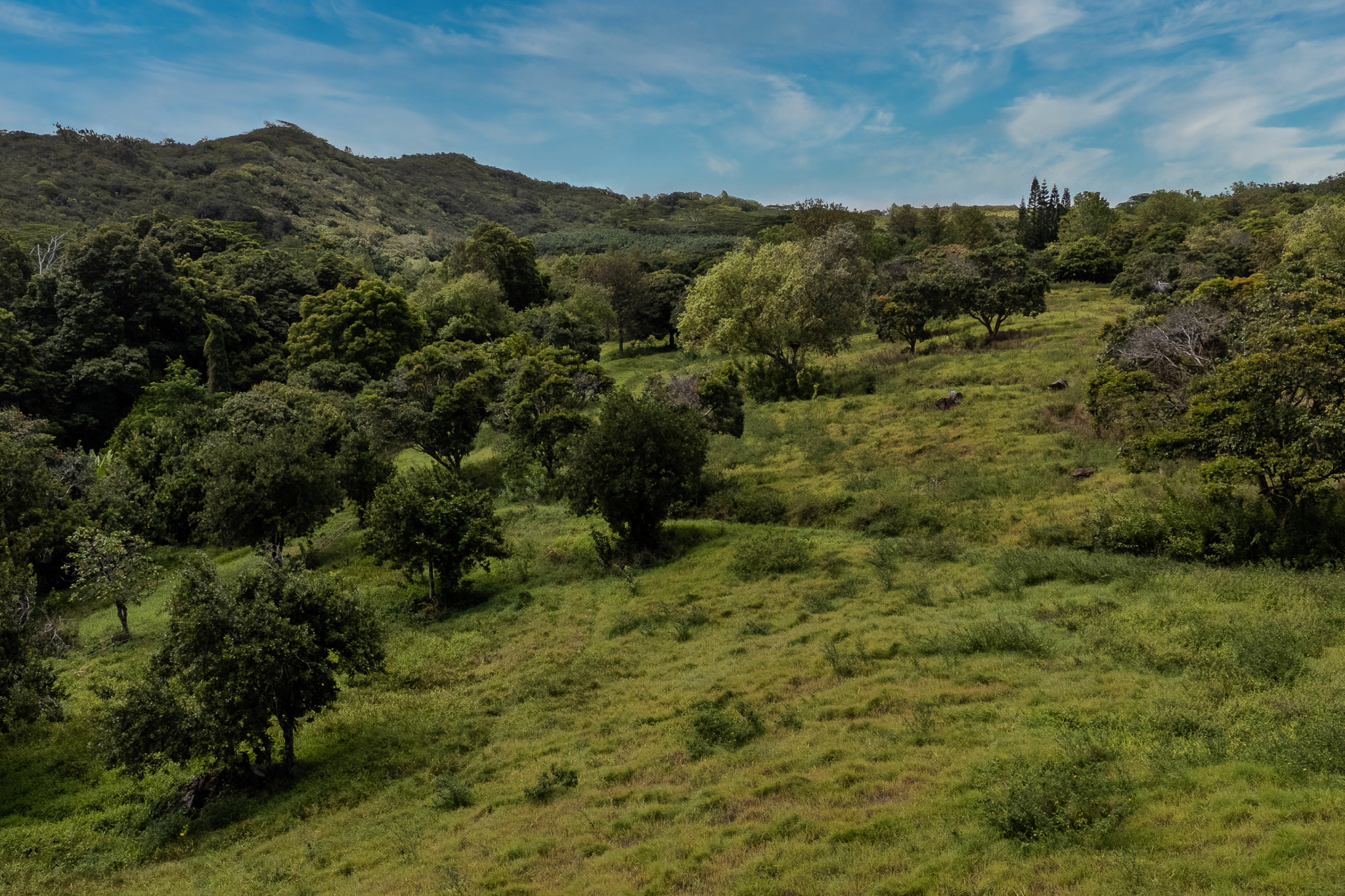 5078 Lot 44 Kua Road Kalaheo, HI 96741 - Photo 8 of 14