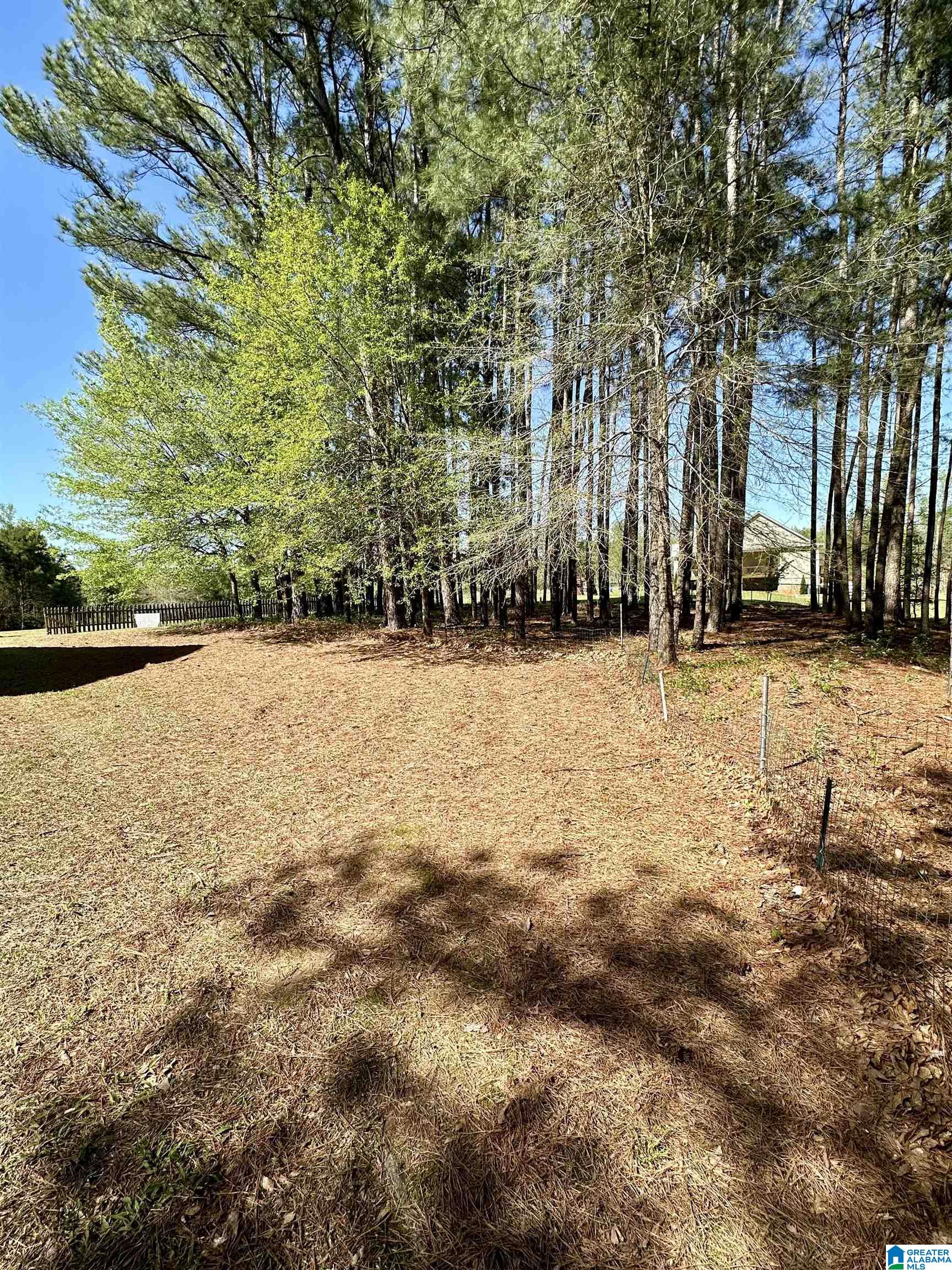 179 Elbert Gallimore Road Hayden, AL 35079 - Photo 14 of 93