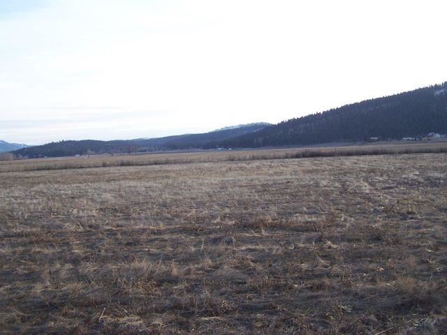Orin-rice Orin-Rice Road Colville, WA 99114 - Photo 2 of 8 Gallery Image 2