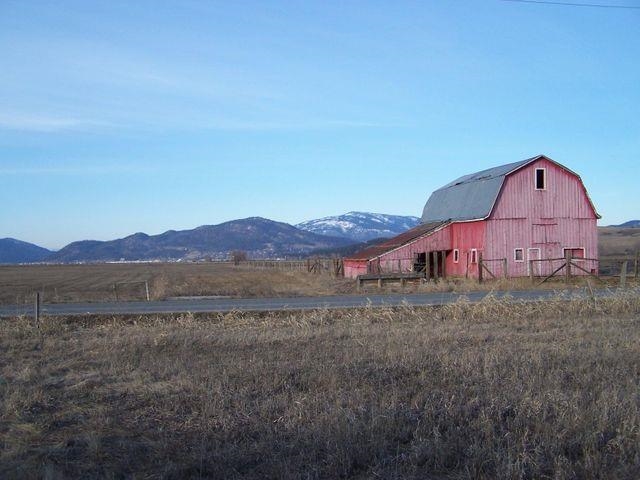 Orin-rice Orin-Rice Road Colville, WA 99114 - Photo 3 of 8 Gallery Image 3