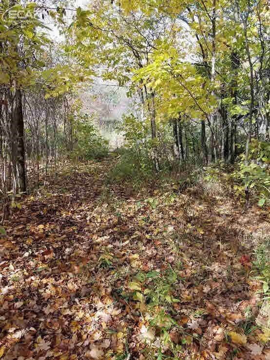 0 Ostrom Road Attica, MI 48412 - Photo 7 of 8