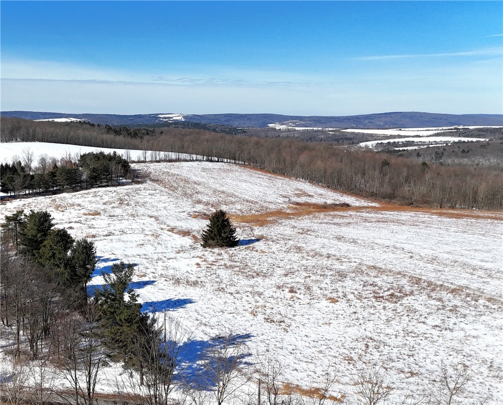 17 Kimble Road Beaver Dams, NY 14812 - Photo 8 of 9 Amazing view!