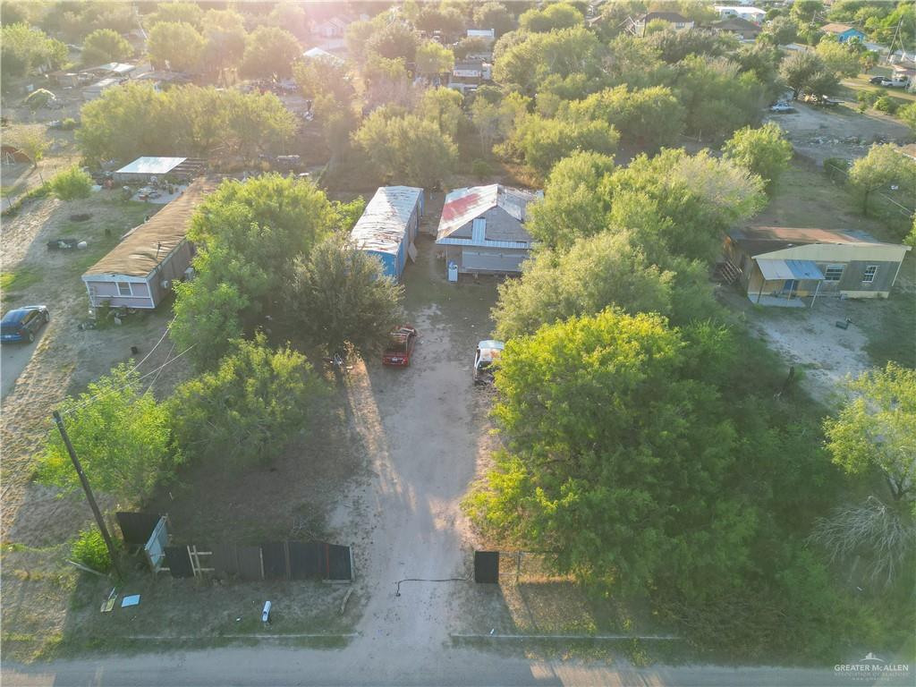 16619 Citrus Road Edinburg, TX 78541 - Photo 4 of 9 a close up of a flower in a garden